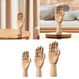 Wooden Hand Mannequin Right Hand Multiple Uses Movable Joint Wood Hand Model Small