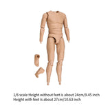 Maxbell 1/6 Scale Male Body Doll Miniature DIY Collection Sturdy Action Figure Model