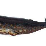Maxbell Ceramic Whales Sculpture Animal Statue for Bookshelf Home Office Holiday Gift