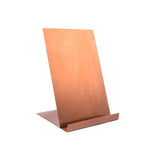Maxbell Shirts Display Stand Stainless Steel Adults Shirt Support for Home Countertop rose gold