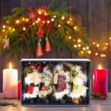 Maxbell Santa Claus Ornament Xmas Decoration for Holiday Farmhouse Bedroom Style B