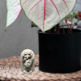 Maxbell Greek Plaster Statue Figurine Greek Statue for Room Coffee Table Decor 1Pc