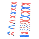 Maxbell Meiotic Chromosome Change Model Lab Supplies for Home Middle School Teachers