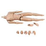 Maxbell 1/6 Scale Male Body DIY Miniature Lightweight Collection Action Figure Model