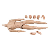 Maxbell 1/6 Scale Male Body DIY Miniature Lightweight Collection Action Figure Model