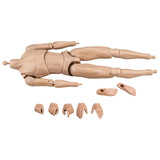 Maxbell 1/6 Scale Male Body DIY Miniature Lightweight Collection Action Figure Model