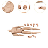 Maxbell 1/6 Scale Male Body DIY Miniature Lightweight Collection Action Figure Model