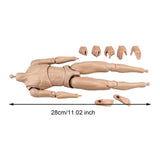 Maxbell 1/6 Scale Male Body DIY Miniature Lightweight Collection Action Figure Model