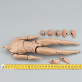 Maxbell 1/6 Scale Male Body DIY Miniature Lightweight Collection Action Figure Model
