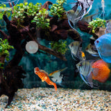 Maxbell Miniature Diver Action Figure Simulation for Aquarium Fish Tank Favors Orange