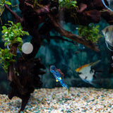 Maxbell Miniature Diver Action Figure Simulation for Aquarium Fish Tank Favors Blue