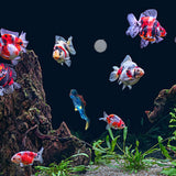 Maxbell Miniature Diver Action Figure Simulation for Aquarium Fish Tank Favors Blue