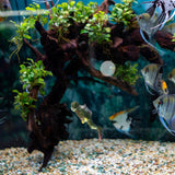 Maxbell Miniature Diver Action Figure Simulation for Aquarium Fish Tank Favors Green