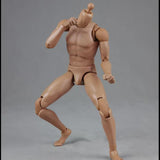 Maxbell 1/6 Scale Male Body Sturdy Collection Narrow Shoulder 12 inch Jointed Figure