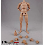 Maxbell 1/6 Scale Male Body Sturdy Collection Narrow Shoulder 12 inch Jointed Figure