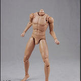 Maxbell 1/6 Scale Male Body Sturdy Collection Narrow Shoulder 12 inch Jointed Figure