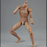 Maxbell 1/6 Scale Male Body Sturdy Collection Narrow Shoulder 12 inch Jointed Figure