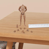 Maxbell 1/6 Scale Male Body Sturdy Collection Narrow Shoulder 12 inch Jointed Figure