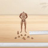 Maxbell 1/6 Scale Male Body Sturdy Collection Narrow Shoulder 12 inch Jointed Figure
