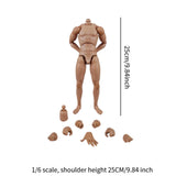 Maxbell 1/6 Scale Male Body Sturdy Collection Narrow Shoulder 12 inch Jointed Figure