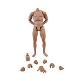 Maxbell 1/6 Scale Male Body Sturdy Collection Narrow Shoulder 12 inch Jointed Figure