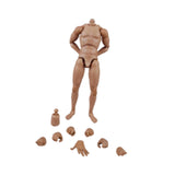 Maxbell 1/6 Scale Male Body Sturdy Collection Narrow Shoulder 12 inch Jointed Figure
