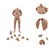 Maxbell 1/6 Scale Male Body Sturdy Collection Narrow Shoulder 12 inch Jointed Figure