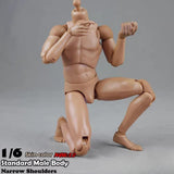 Maxbell 1/6 Scale Male Body Sturdy Collection Narrow Shoulder 12 inch Jointed Figure