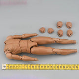 Maxbell 1/6 Scale Male Body Doll Lightweight Body Muscle for 12 inch Action Figure