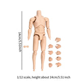Maxbell 1:12 Scale Male Figure Body Flexible Mini Collection Human Body Sketch Model