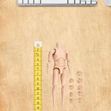 Maxbell 1:12 Scale Male Figure Body Flexible Mini Collection Human Body Sketch Model