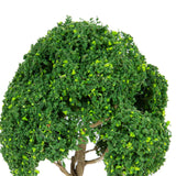 Maxbell 3 Pieces Miniature Trees for Sand Table DIY Scenery Landscape Diorama Layout green tree