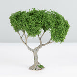Maxbell 3 Pieces Miniature Trees for Sand Table DIY Scenery Landscape Diorama Layout broadleaf tree