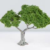 Maxbell 3 Pieces Miniature Trees for Sand Table DIY Scenery Landscape Diorama Layout broadleaf tree