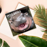 Maxbell Hippopotamuses 2025 Calendar Christmas Calendar Gift Hippos Monthly Calender Style A