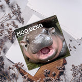 Maxbell Hippopotamuses 2025 Calendar Christmas Calendar Gift Hippos Monthly Calender Style A