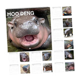 Maxbell Hippopotamuses 2025 Calendar Christmas Calendar Gift Hippos Monthly Calender Style A