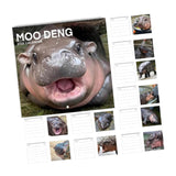 Maxbell Hippopotamuses 2025 Calendar Christmas Calendar Gift Hippos Monthly Calender Style A