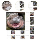 Maxbell Hippopotamuses 2025 Calendar Christmas Calendar Gift Hippos Monthly Calender Style A