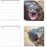 Maxbell Hippopotamuses 2025 Calendar Christmas Calendar Gift Hippos Monthly Calender Style A