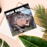Maxbell Hippopotamuses 2025 Calendar Christmas Calendar Gift Hippos Monthly Calender Style B