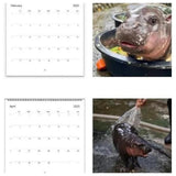 Maxbell Hippopotamuses 2025 Calendar Christmas Calendar Gift Hippos Monthly Calender Style B