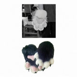 Maxbell Cat Claw Gloves Dress up Plush Gloves for Party Stage Performance Masquerade black