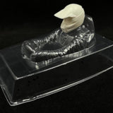 Maxbell 1:10 RC Body Shell DIY RC Model Toy Accessories Gift Easy to Install Housing