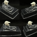 Maxbell 1:10 RC Body Shell DIY RC Model Toy Accessories Gift Easy to Install Housing