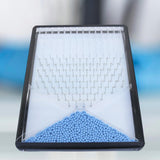 Dalton Board/galton Board Physics Experiment Teaching Equipment for Teachers
