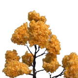 Maxbell Model Tree Accessories Props Micro Landscape for Scene Building DIY Projects Height 15 cm