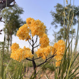 Maxbell Model Tree Accessories Props Micro Landscape for Scene Building DIY Projects Height 15 cm