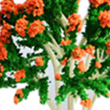 Maxbell 10 Pieces Miniature Trees Train Scenery DIY Crafts Railroad Artificial Trees 11cmx8cm