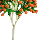 Maxbell 10 Pieces Miniature Trees Train Scenery DIY Crafts Railroad Artificial Trees 13cmx9.5cm